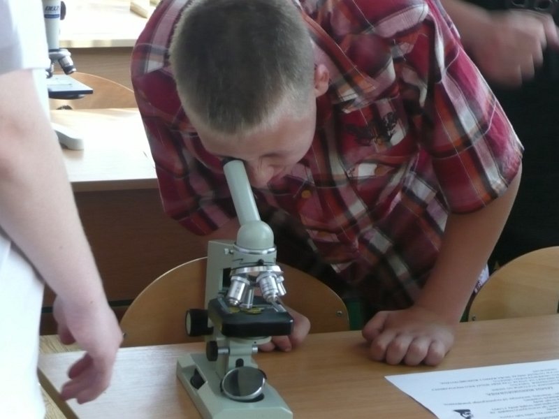 P1060700 [1024x768].JPG